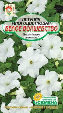 ����� ���������� �������