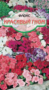 ����� �������� ���� �/�