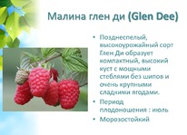 ������ ���� �� �������