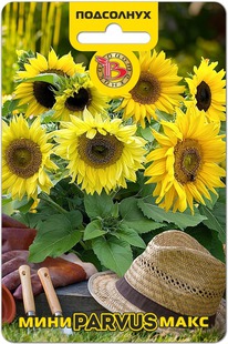 ��������� ����-���� Parvus