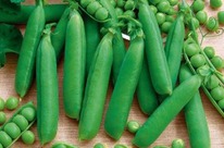 ������� ����� �������