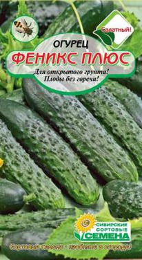 ������ ���� ������ �������� ��