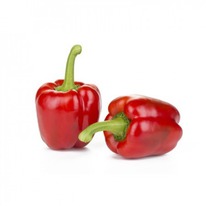 ������ ����� �������� ������� F1: 5�� Rijk Zwaan