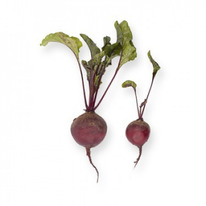 ������ ������ ������� : 3�� Rijk Zwaan