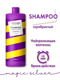 CONCEPT Fusion Magic Silver   /  