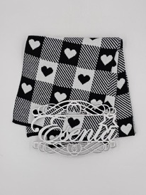 ESENIA ���� 175*24��