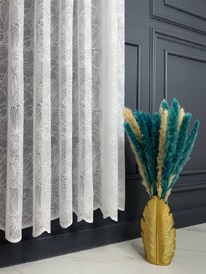 ���� �������