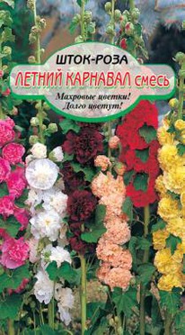 ������ ��������, ����� ����-����