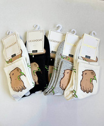 �����, 5 ���