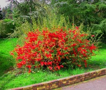 ���� ���� ����