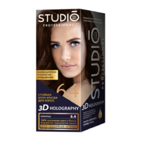 STUDIO   / 3D  6.4