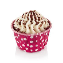 CHOCOLATTE ���� ������ ��� ���� �������