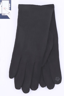 �������� ���. Kang Tai P-300