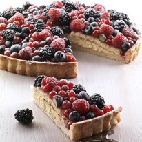 BINDI ���� ������ ����� �������, ���������, ������