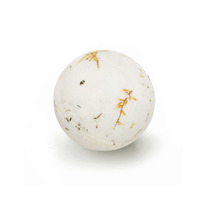 TAIGANICA ������ ��� �������� ���� � ���������� ������