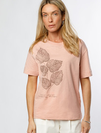 Vilatte        D49.071 _