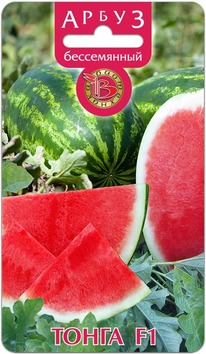 ����� ����������� ����� F1