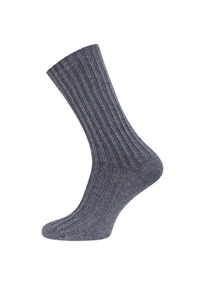       2426 ARCTIC 212426 . 