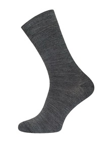       ARCTIC 2453 192453 . 0 (