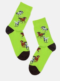     4200 PETS 214200 . 163 ( )