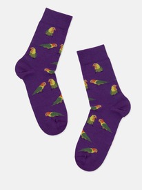     4200 PETS 214200  166 ( )