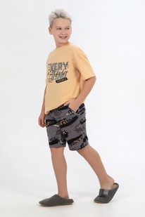 �����  ������ ��� �������� �����-2 ��-187 �������