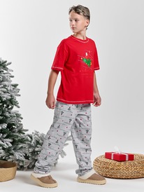 ������ ��� �������� ��������-2.1 ��-202 �������