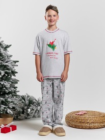 �����  ������ ��� �������� ��������-2.2 ��-203 ���������