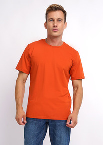 Clever   CLE 600309_ .