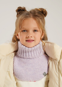 Clever  CLE 433883 .