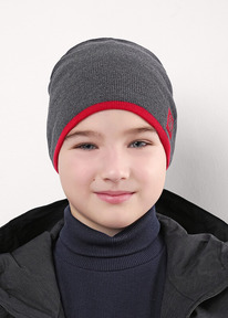 Clever   CLE 554325  ./