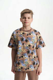 Pelican    BFT3320/2 