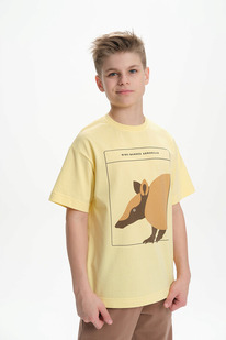 Pelican    BFT3370/2 