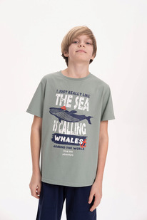 Pelican    BFT3371 -