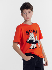 Mark Formelle    113433 113433  + 75369