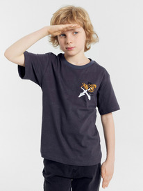 Mark Formelle    113433 113433 acid wash   79880