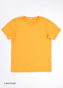 Clever  . CLE 903161 52-64 .