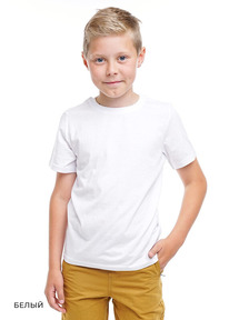 Clever  . CLE 903161 68-84 