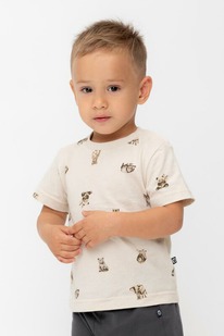 Crockid  () /   302537/, 542