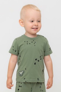 Crockid  () /   302699/,  538