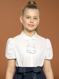 Pelican ������ ��� ������� GWCT7113 �����