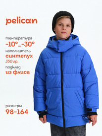 Pelican ������ ��� ��������� BZXZ3362/12/1 �����������