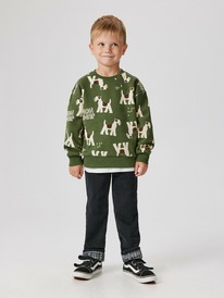 Acoola   ()    Don 20120440098 