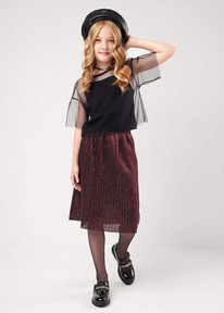 Clever ���� ������� ��� ������� CLE 704870/78�� ��������