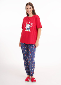 Clever ������ ������� CLE LP15-1202/3 �������/�.�����