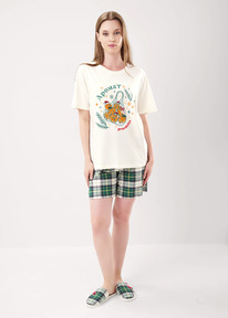 Clever ������ ������� CLE LP15-1199/1 ��������/�.������