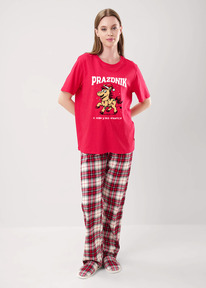 Clever ������ ������� CLE LP15-1199/2 �������/��������