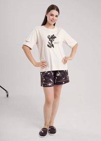 Clever ������ ������� CLE LP15-1181 ��.�������/����������