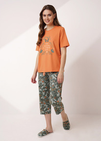 Clever ������ ������� CLE LP15-1184/1 �.���������/������