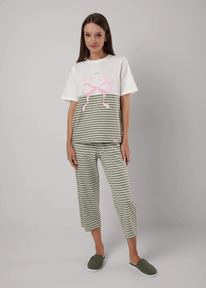 Clever ������ ������� CLE LP25-1153/1 ��������/����